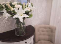 !BBV_5886